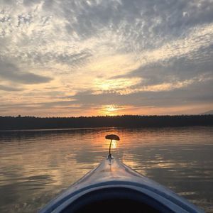 Meet your Posher, Lily